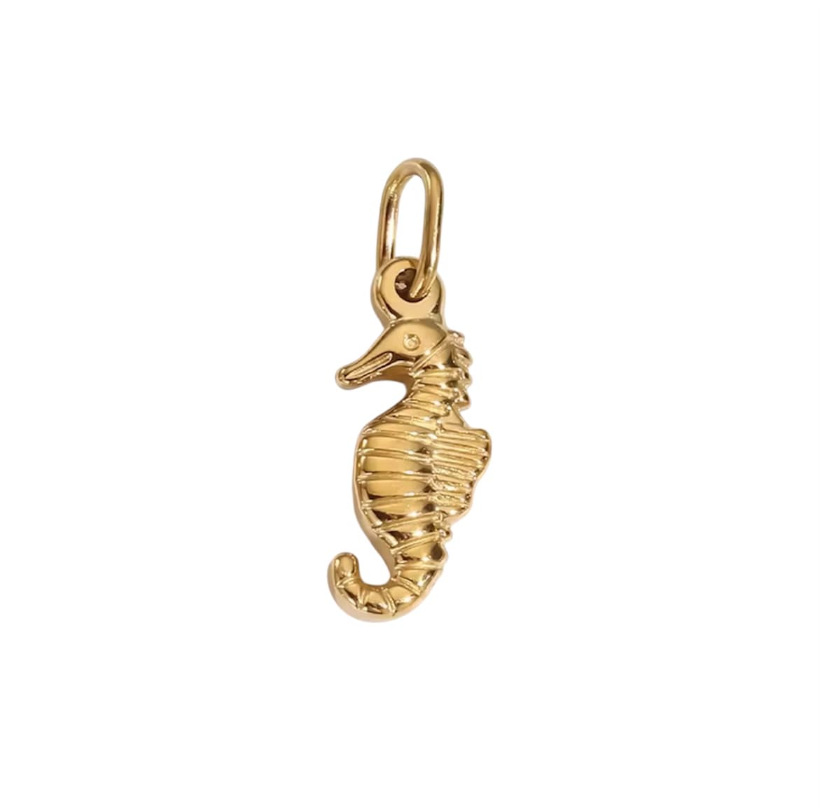 CYO Zeepaardje Bedel